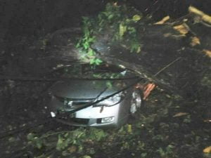 Mobil Honda Civic Ringsek Tertimpa Pohon Tumbang di Gombel