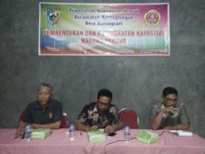 Karang Taruna, Penggerak Nasionalisme dan Budaya