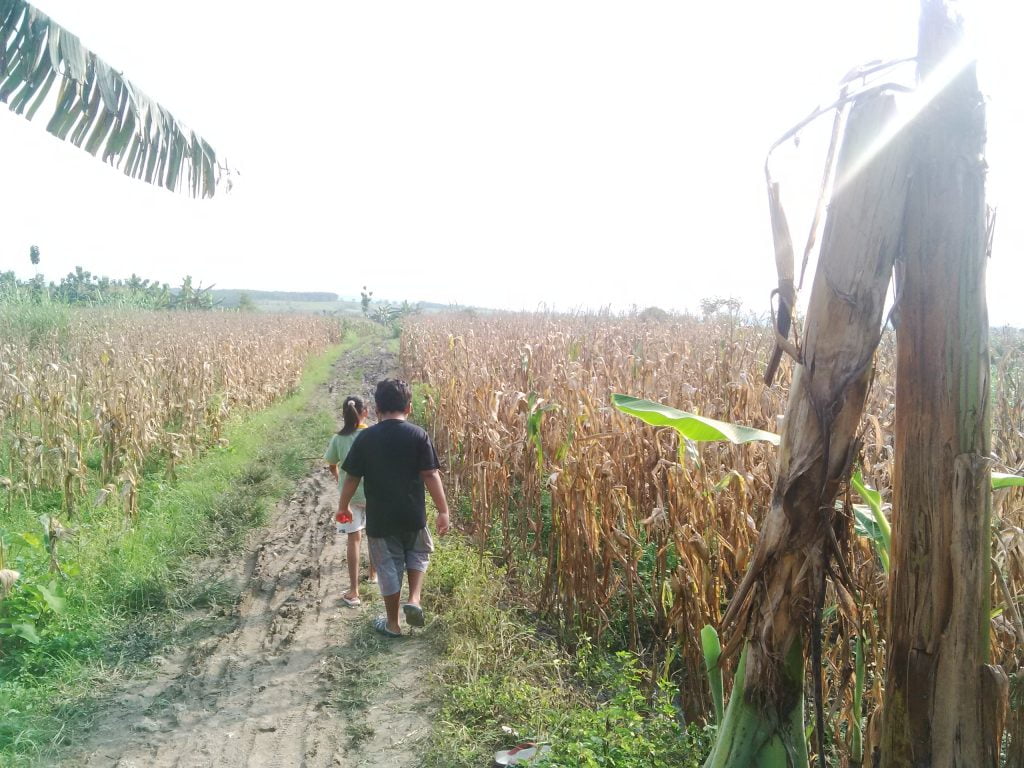 Pertanian Masih Menjadi Prioritas DPD Nasdem