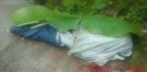 Kecelakaan Lalu Lintas, Seorang Wanita Tewas