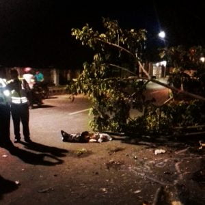 Usai Pesta Miras di Karaoke , Seorang Pemuda Tewas Setelah Motornya Menabrak Pohon