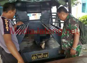 Mayat di Desa Megulung Kidul Purworejo Diduga Dibunuh