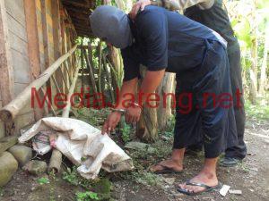 Kepergok Mencuri Ayam , Pemuda ini Ditangksp Warga
