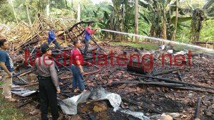 Ribuan Ayam Terbakar Dilalap Si Jago Merah