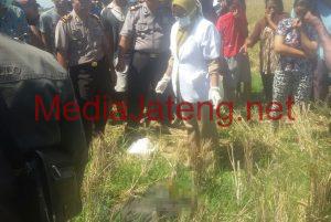 Penemuan Mayat Perempuan di Pematang Sawah Gemparkan Warga