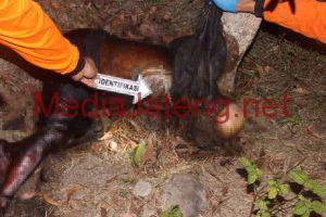 Gembala Kambing Temukan Mayat Membusuk Di Ladang