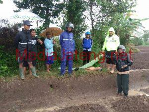 Penemuan Mayat Di Pematang Sawah, Gegerkan Warga