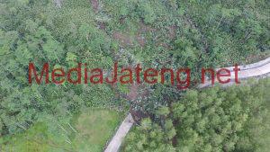 Longsor 1,4 Hektar, Jalan Provinsi di Purbalingga Tertutup Total