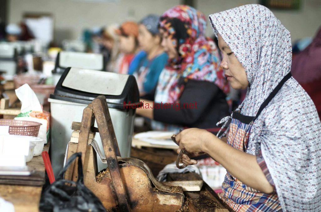 Malangnya Nasib Industri Kecil Pengolah Tembakau