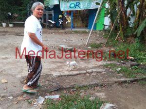 Ketika Pecinta dan Pemburu Berebut Kucing di Pasar