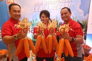 Pertanian Grobogan Dikenalkan Jagung Varietas Baru