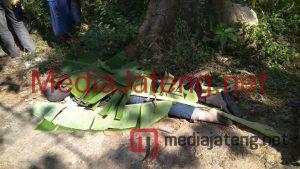 Curi Motor, Perempuan Ini Tewas Tabrak Randu