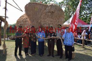 Buka Festival Jerami, Ini Komentar Bupati Sri Sumarni