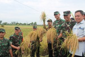 Tim Sergap Harapkan Dapat Maksimal Lakukan Penyerapan