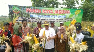 Tegas. Pemerintah Blora Tolak Impor Jagung