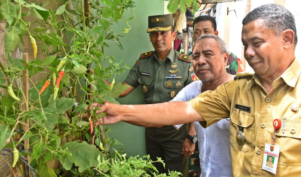 Polybag dan Pot. ‘Membuat’ Lapisan Beton Jadi Subur