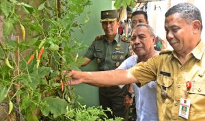 Polybag dan Pot. ‘Membuat’ Lapisan Beton Jadi Subur