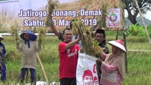Kenduri Tani , Dari Petani Demak Untuk Jokowi di Pilpres