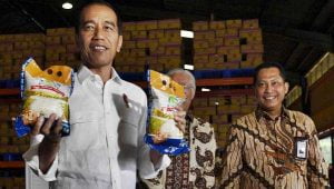 Agar Tidak Rugikan Negara dan Warga, Jokowi Perlu Evaluasi Kinerja Bulog