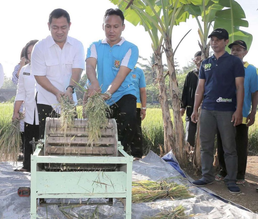 Meski Kota Metropolitan, Semarang Berupaya Tingkatkan Hasil Pertanian