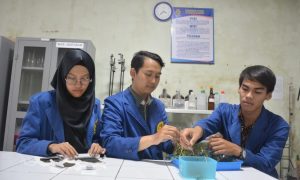 Mahasiswa USM Ubah Krokot Jadi Permen