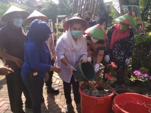 Pemkot Semarang Ajak Warganya Manfaatkan Lahan Kosong Untuk Urban Farming
