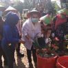 Pemkot Semarang Ajak Warganya Manfaatkan Lahan Kosong Untuk Urban Farming