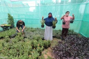 Ratusan Warga Bambankerep Dapat Pelatihan Urban Farming