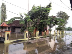 1.195 Hektar Sawah di Penyumbang Padi Terbesar di Jateng Tergenang. Ini Resikonya
