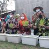Mba Ita Ajak Warganya Tanam Padi Dalam Pot