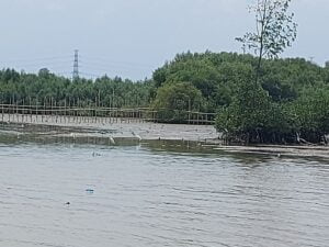 Pemilik Tambak Terdampak Tol Semarang-Demak Tuntut Penyelesaian Ganti Rugi