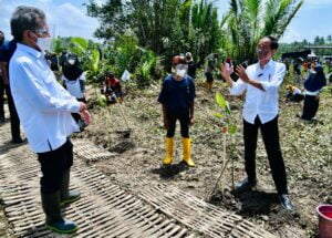 Tanam Mangrove Bersama Masyarakat, Presiden: untuk Antisipasi dan Mitigasi Perubahan Iklim