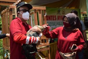 Bupati Banyumas Buka Kontes Ayam Pelung