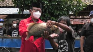 Bupati Serahkan Bibit Gurameh Kepada Pokdakan Sri Utama Singasari