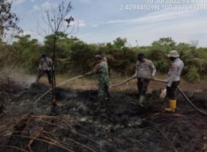 Lahan Seluas 27 Hektar Terbakar di Rokan Hilir, Riau