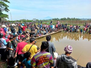 Relawan Ganjar Bersatu Gelar Mancing Gratis! Panitia Sediakan 500 Kilogram Ikan Lele dan 5 Ekor Ikan Master