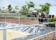 Embung Geomembran Jadi Bukti Keseriusan Pemkot Semarang Perkuat Sektor Pertanian