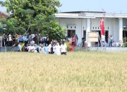 Inovasi Lahan Salin untuk Masa Depan Pangan dan Energi Kota Semarang