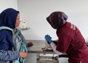 Butuh Perawatan Hewan Peliharaan? Pemkot Semarang Kini Buka Klinik Hewan