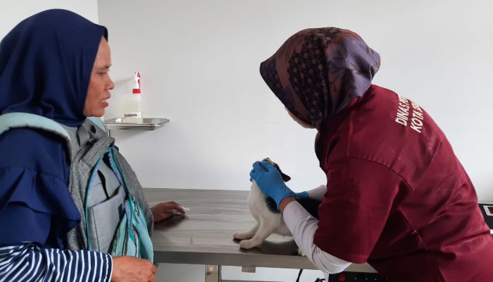 Butuh Perawatan Hewan Peliharaan? Pemkot Semarang Kini Buka Klinik Hewan