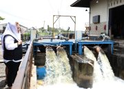 Wali Kota Tinjau Pompa Seringin dan Tenggang Tangani Genangan