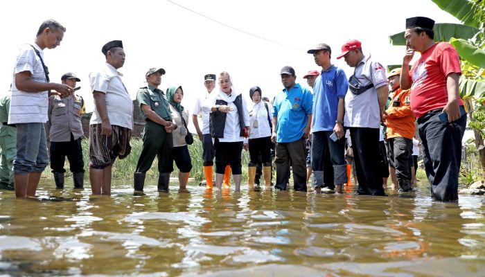 Wali kota Semarang Ambil Langkah Atasi Banjir di Kelurahan Kudu