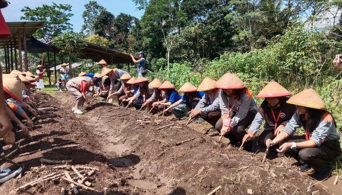 Siswa Korea Penasaran Dengan Singkong dan Filosofinya