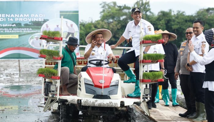Jateng Alarm Kemarau, Petakan Lahan Produktif dan Tanam Padi 250 Ribu Hektare Bulan Ini oleh Gubernur Ahmad Luthfi