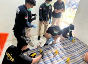 Polda Jateng Bersama Polres Jepara Investigasi Serta Olah TKP Pemerkosaan 31 Anak di Jepara