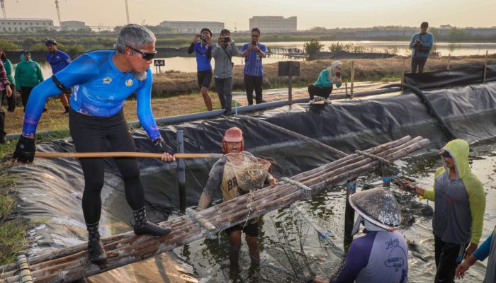 Jateng Bisa Panen 3,1 Ton Udang Vaname di Kawasan Industri Wijayakusuma 