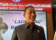 Pilus Sebut Ada Sisi Positif Efisiensi Anggaran