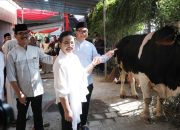 Tingkatkan Solidaritas dan Toleransi, Agustina Wali kota Semarang Serahkan Hewan Kurban Pada Perayaan Idul Adha