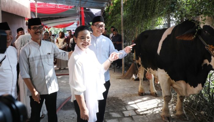 Tingkatkan Solidaritas dan Toleransi, Agustina Wali kota Semarang Serahkan Hewan Kurban Pada Perayaan Idul Adha