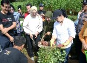 Perkuat Ketahanan Pangan, Agustina, Wali kota Semarang Manfaatkan Lahan Kosong untuk Tanam Singkong dan Ubi